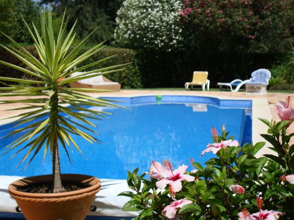 Pool Terrace Renovation in Renton