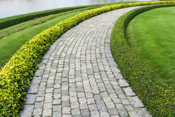 Sidewalk Pavers Installation in Renton